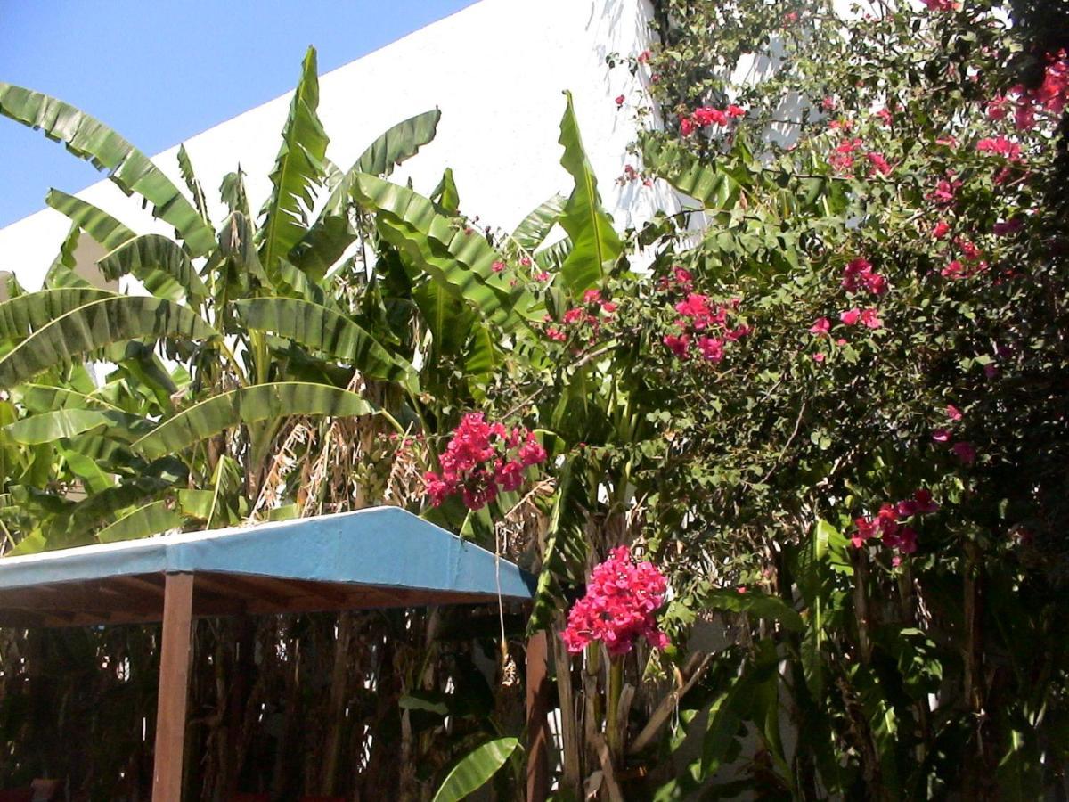 Sea Breeze 2 Apartments Mastichari  Exterior photo